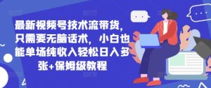 最新视频号技术流带货，只需要无脑话术，小白也能单场纯收入轻松日入多张+保姆级教程--皓收集 | 网创宝典