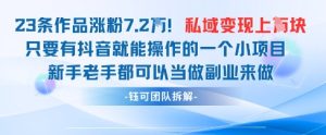 抖音私域项目23条作品涨粉7.2W，私域变现1W--皓收集 | 网创宝典