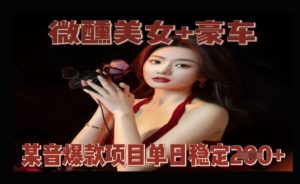 微醺美女+豪车，抖音爆款项目单日稳定2张+--皓收集 | 网创宝典