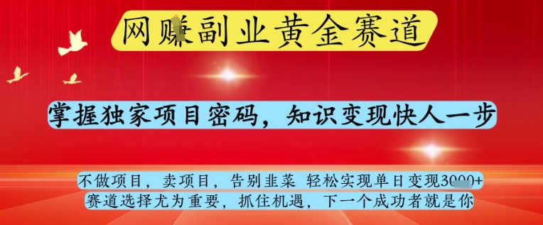 网创副业黄全赛道，掌握独家项目密码，知识变现快人一步，告别韭菜轻松实现单日变现1k+【揭秘】--皓收集 | 网创宝典