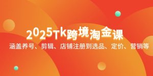 2025Tk跨境淘金课：涵盖养号、剪辑、店铺注册到选品、定价、营销等--皓收集 | 网创宝典