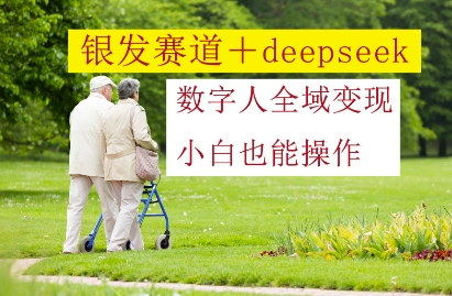 银发赛道+deepseek数字人全域变现，小白也能操作--皓收集 | 网创宝典