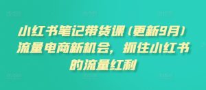 小红书笔记带货课(更新25年4月)流量电商新机会，抓住小红书的流量红利--皓收集 | 网创宝典