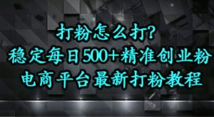 打粉怎么打？电商平台打精准创业粉，每日引流500+精准粉--皓收集 | 网创宝典