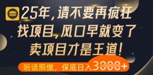 什么？25年你还在疯狂找项目做，醒醒吧，看完这些你全都懂了【揭秘】--皓收集 | 网创宝典