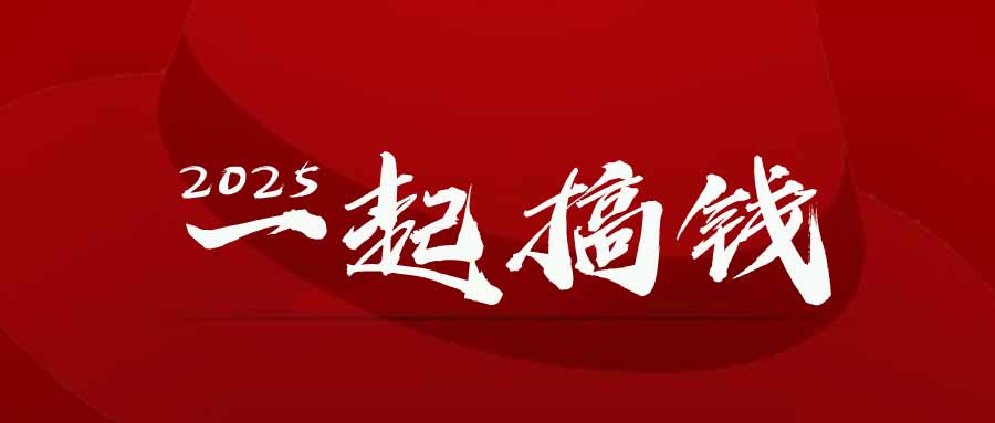 2025年，请“不择手段”去搞钱! --皓收集 | 网创宝典