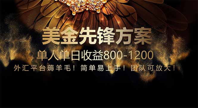 免费技术！小众赛道！一年布局抵三年努力，每日800+--皓收集 | 网创宝典