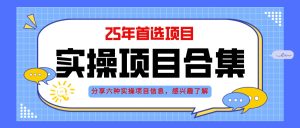 2025年实操六大项目实操演练，挂机类型，AI直播类型，轻资产创业类型，…--皓收集 | 网创宝典