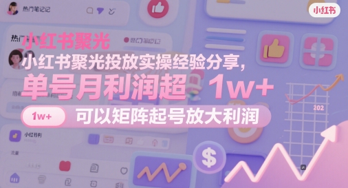 小红书聚光投放实操经验分享，单号月利润超1w+，可以矩阵起号放大利润--皓收集 | 网创宝典