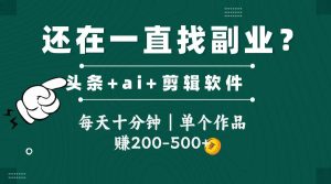 头条全新玩发加持软件搬视频，每天十分钟，单个作品收入200-500左右--皓收集 | 网创宝典