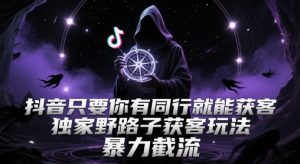 抖音只要你有同行就能获客，独家野路子获客玩法，暴力截流【揭秘】--皓收集 | 网创宝典