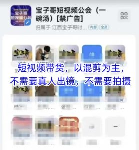 宝子哥头部团队短视频带货，以混剪为主，不需要真人出镜，不需要拍摄【更新】--皓收集 | 网创宝典