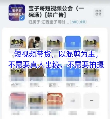 宝子哥头部团队短视频带货，以混剪为主，不需要真人出镜，不需要拍摄【更新】--皓收集 | 网创宝典