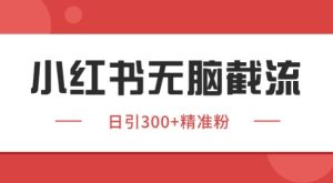 小红书截流同行客源，独家野路子获客玩法 日引200+暴力获客【揭秘】--皓收集 | 网创宝典