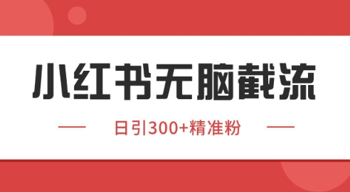 小红书截流同行客源，独家野路子获客玩法 日引200+暴力获客【揭秘】--皓收集 | 网创宝典