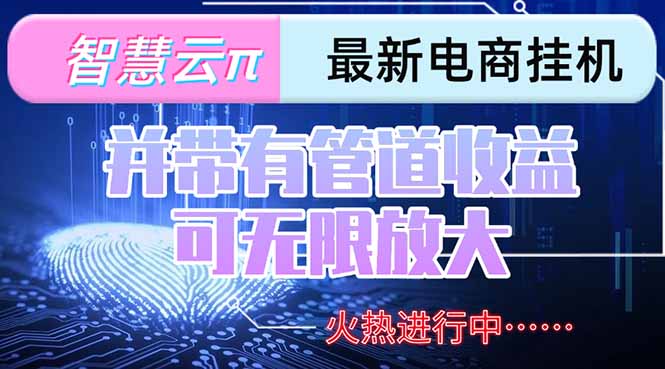 智慧云π电脑挂机单机每天收益300—500+ 并带有团队管道收益 可无限放大--皓收集 | 网创宝典