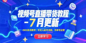 视频号直播带货教程-7月更新，OBS技术教学，半无人起号流程，书单号运营--皓收集 | 网创宝典