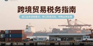 跨境贸易税务指南，进口业务退税要点，转口贸易风险，特殊业务处理--皓收集 | 网创宝典