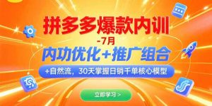 拼多多爆款内训-7月 内功优化+推广组合+自然流 30天掌握日销千单核心模型--皓收集 | 网创宝典