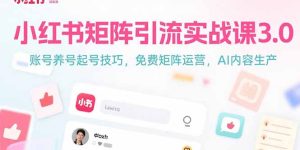小红书矩阵引流实战课3.0：账号养号起号技巧，免裴矩阵运营，AI内容生产--皓收集 | 网创宝典