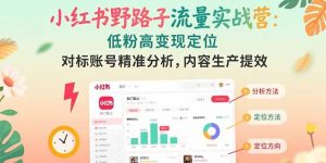 小红书野路子流量实战营：低粉高变现定位 对标账号精准分析 内容生产提效--皓收集 | 网创宝典
