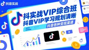 抖音实战VIP综合班，抖音VIP学习规划请晰抖音各种变现渠道--皓收集 | 网创宝典