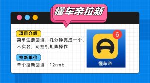 懂车帝邪修拉新玩法，简单注册回填，不sm，单个拉新12rmb，轻松日入200+--皓收集 | 网创宝典