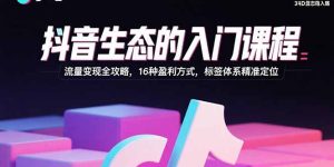抖音生态的入门课程：流量变现全攻略，16种盈利方式，标签体系精准定位--皓收集 | 网创宝典