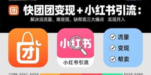 快团团变现+小红书引流：解决没流量、难变现、缺帮卖三大痛点 实现月入3w+--皓收集 | 网创宝典
