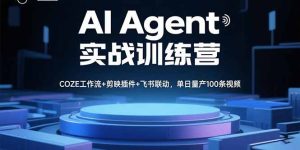 AI Agent实战训练营，COZE工作流+剪映插件+飞书联动，单日量产100条视频--皓收集 | 网创宝典