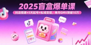 2025盲盒爆单课，抖店搭建+5天起号+私域变现，单月GMV突破10万--皓收集 | 网创宝典