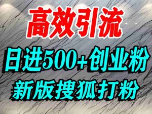 怎么打创业粉？搜狐网打精准创业粉，打粉引流教程，单人日引500+精准创业粉--皓收集 | 网创宝典
