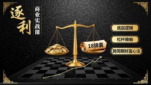 《逐 利》商业实战课，底层逻辑、杠杆策略、18锦囊，跨周期财富心法--皓收集 | 网创宝典