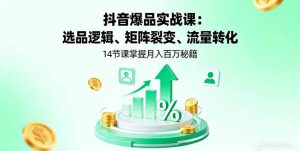 抖音爆品实战课：选品逻辑、矩阵裂变、流量转化，14节课掌握月入百万秘籍--皓收集 | 网创宝典