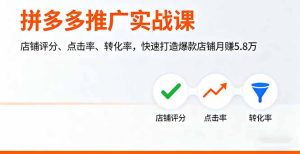 拼多多推广实战课，店铺评分、点击率、转化率，快速打造爆款店铺月赚5.8万--皓收集 | 网创宝典