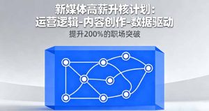 新媒体高薪升核计划：运营逻辑-内容创作-数据驱动，提升200%的职场突破--皓收集 | 网创宝典
