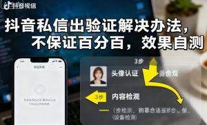 抖音私信出验证解决办法，不保证百分百，效果自测--皓收集 | 网创宝典