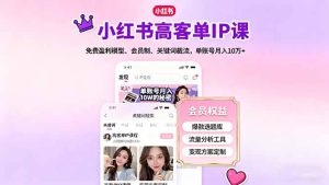 小红书高客单IP课，免费盈利模型、会员制、关键词截流，单账号月入10万+--皓收集 | 网创宝典