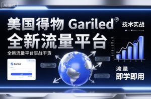 美国得物Gariled技术实战，全新流量平台​实战干货，即学即用--皓收集 | 网创宝典