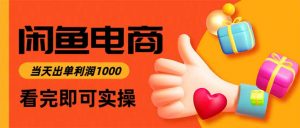 闲鱼高利润电商，当天上架当天出单，一单利润300--皓收集 | 网创宝典