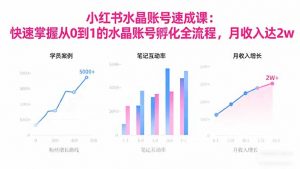 2025小红书水晶账号速成课：快速掌握从0-1水晶账号孵化全流程，月收入达2w--皓收集 | 网创宝典