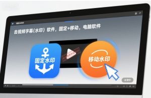 去视频字幕(水印）软件，固定+移动，电脑软件--皓收集 | 网创宝典